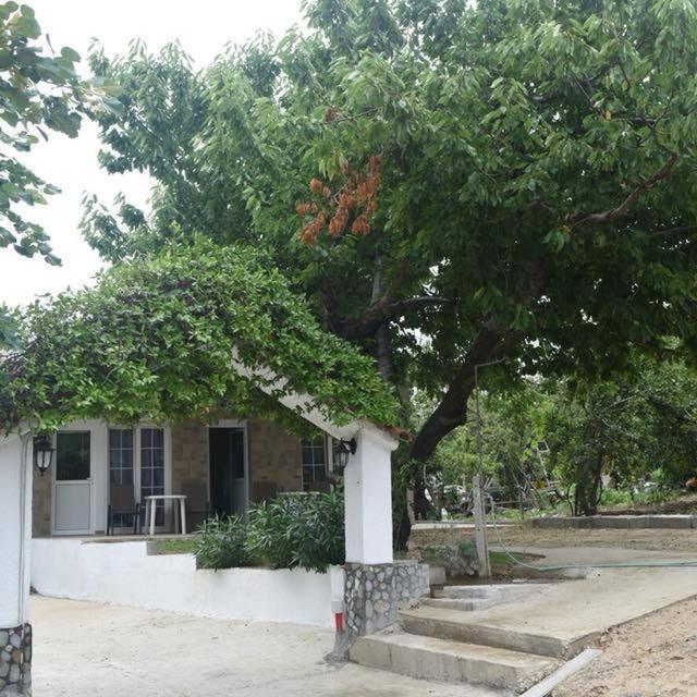 Villa Leonidas Koutsoupia Kókkinon Nerón Exterior foto